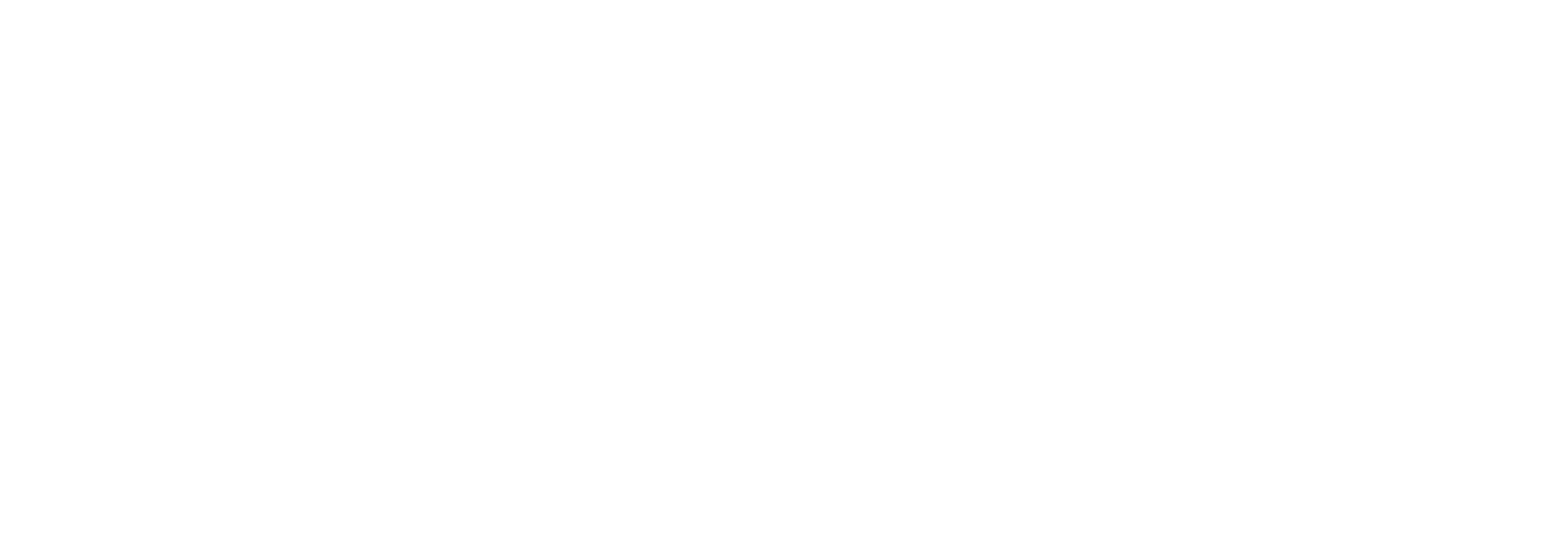 3as multi services inc